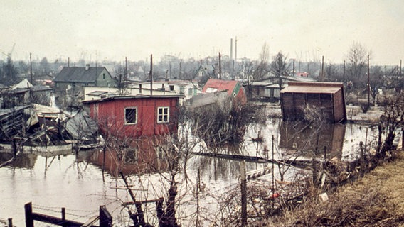 Zerstörte und überflutete Behelfsheime in der Siedlung "Alte Landesgrenze" in Hamburg-Wilhelmsburg nach der Sturmflut 1962. © NDR Foto: Karl-Heinz Pump