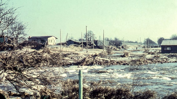 Überschwemmte Kleingarten-Siedlung im Hamburger Stadtgebiet nach der Sturmflut im Februar 1962. © NDR Foto: Karl-Heinz Pump