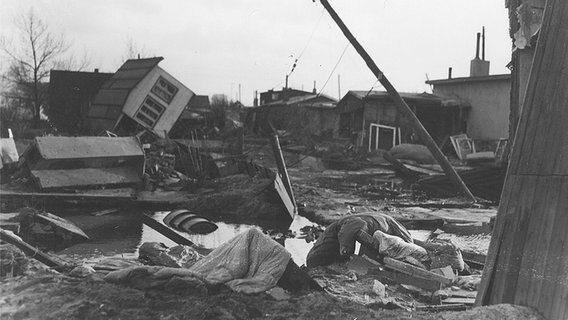 Zerstörte Kleingartensiedlung in Hamburg-Wilhelmsburg nach der Sturmflut 1962. © NDR Foto: Hans Rezek