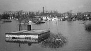 Sturmflut 1962 in Hamburg: Überflutete Behelfsheime in der Peutestraße auf der Veddel. © NDR Foto: Adolf Scharenberg