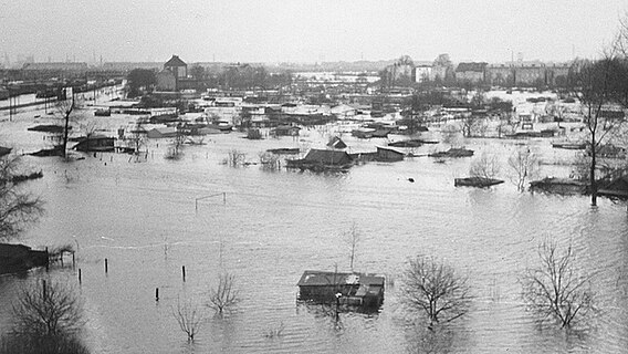 Überflutete Kleingärten am Alten Bahnhof in Wilhelmsburg © NDR Foto: Edith Vasicek