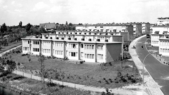 Blick auf Wohngebäude in der Gartenstadt Hohnerkamp in Hamburg 1953. © Hamburger Architekturarchiv 