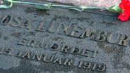 Eine rote Nelke liegt auf dem Grab von Rosa Luxemburg. © dpa 