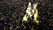 Ein Goldbarren liegt in schwarz-goldenem Sand. © picture alliance / Zoonar Foto: Alexander Limbach