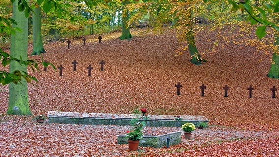 Grabsteine und Kreuze der Gedenkstätte Golm erinnern an den Luftangriff auf Swinemünde im Zweiten Weltkrieg. © imago images / imagebroker/theissen 