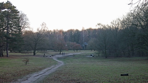 Blick in den Gosslerpark, einen alten Landschaftspark nach englischem Vorbild. © NDR Foto: Daniel Sprenger