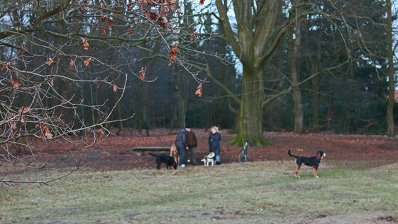 Hundebesitzer treffen sich auf einer Wiese im Gosslerpark. © NDR Foto: Daniel Sprenger