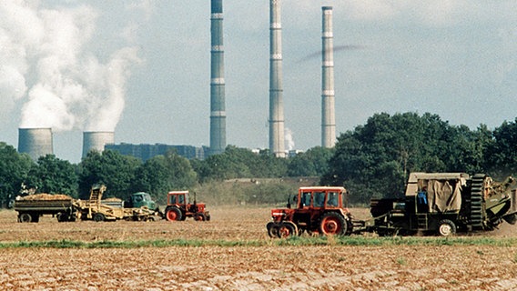 Kartoffelernte 1989 auf einem Feld der landwirtschaftlichen Produktionsgenossenschaft (LPG) Cottbus-Nord. © dpa-Bildarchiv 