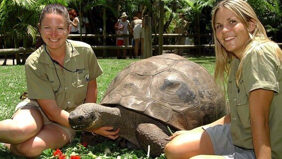 Galapogos-Riesenschildkröte "Harriet" im November 2003 zwischen zwei Tierpflegerinnen im Australia Zoo an der Sunshine Coast von Queensland. © picture-alliance/ dpa | epa Australia Zoo HO 