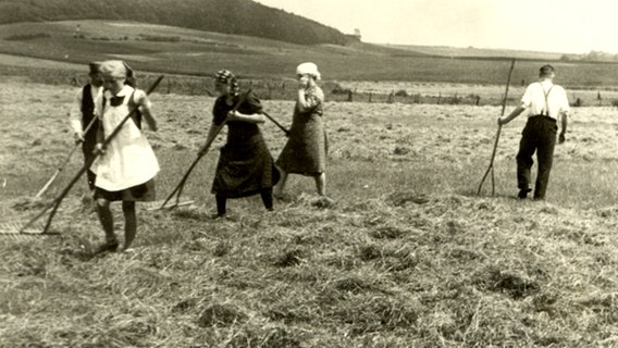 Historisches Foto der Heuernte auf dem Land © Archiv Ortsheimatpflege Güntersen 