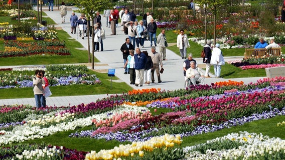 Besucher der Internationalen Gartanbauausstellung IGA 2003 in Rostock schlendern 2003 zwischen blühenden Stiefmütterchen, Tulpen und anderen Frühjahrsblühern entlang. © picture-alliance / ZB Foto: Bernd Wüstneck