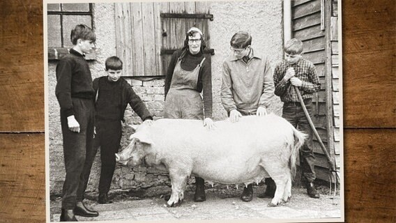Irmgard Rosenkranz mit Schülern der Arbeitsgemeinschaft "Schweinezucht", undatierte Aufnahme. © privat 