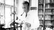 Der amerikanische Biochemiker Albert von Szent-Györgyi in jüngeren Jahren in seinem Labor an einer Universität in Ungarn. © picture-alliance / dpa | MTI 