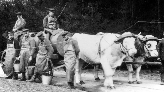 Patienten der Heil- und Pflegeanstalt Langenhorn 1922 bei der Feldarbeit. Patienten der Heil- und Pflegeanstalt Langenhorn 1922 bei der Feldarbeit. © Langenhorn-Archiv