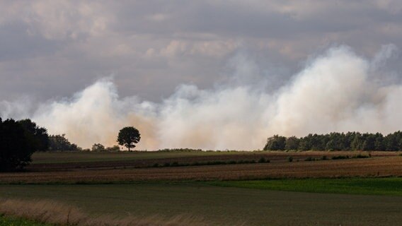 Der Qualm des Moorbrandes im Emsland zieht über ein Feld. © picture alliance | dpa Foto: Mohssen Assanimoghaddam