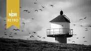 Leuchtturm mit fliegenden Wildgänsen in Glückstadt, Schleswig-Holstein, 2015 © IMAGO / imagebroker / IngeborgxKnol Foto: Ingeborg Knol