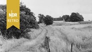 Hof der Familie Hansen an der deutsch-dänischen Grenze. © NDR Archiv Screenshot 