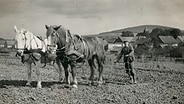 Historisches Foto von einem Pferdefuhrwerk mit Landarbeiter auf einem Acker © Archiv Ortsheimatpflege Güntersen 