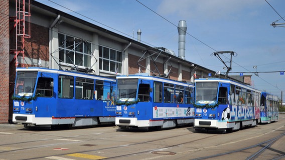 Mehrere Tatra-Straßenbahnen stehen 2015 zu ihrer Verabschiedung auf dem Betriebshof in Rostock. © Rostocker Nahverkehrsfreunde 