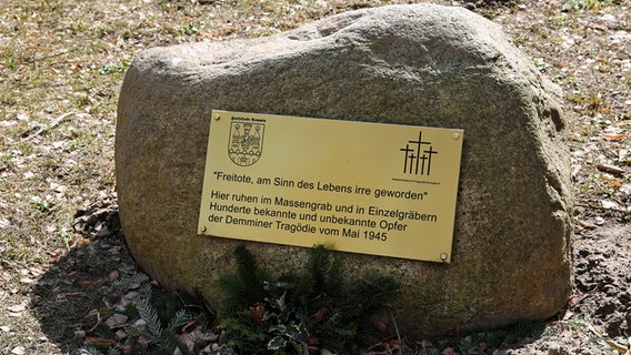 "Freitote, am Sinn des Lebens irre geworden" steht auf einer Gedenktafel auf dem Friedhof von Demmin, die an einen Massenselbstmord 1945 erinnert. © picture alliance / ZB Foto: Bernd Wüstneck
