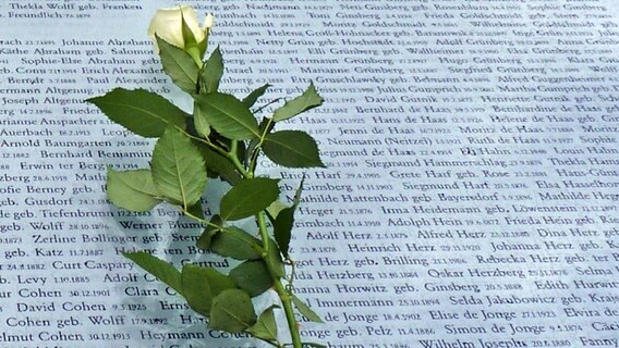 Eine Rose liegt auf einer der Tafeln mit den Namen Deportierter am Gedenkort Hannoverscher Bahnhof in Hamburg. © NDR Foto: Irene Altenmüller