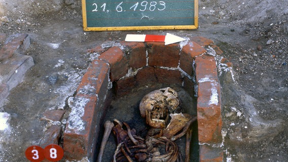 Skelett, das bei den Ausgrabungen in den 1980er-Jahren gefunden wurde © Archäologisches Museum Hamburg 