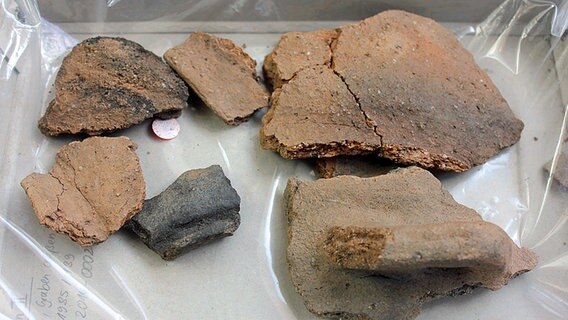 Fundstücke der Archäologen: Scherben aus der Zeit der Hammaburg. © NDR Foto: Tabea Tschöpe
