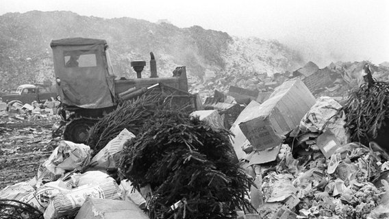 Eine Müllhalde in den 1960er-Jahren © picture alliance / Manfred Rehm Foto: Manfred Rehm