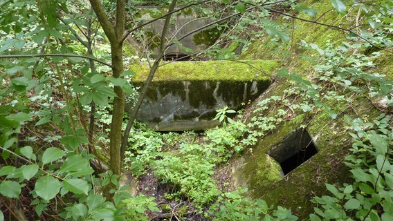 Ein Rest der Kohleförderung für das Kesselhaus © NDR.de Foto: Marc-Oliver Rehrmann