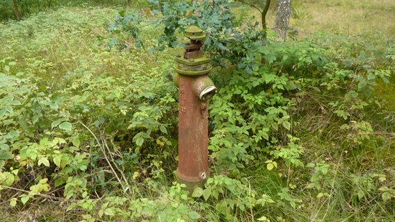 Ein alter Hydrant in den Besenhorster Sandbergen © NDR.de Foto: Marc-Oliver Rehrmann