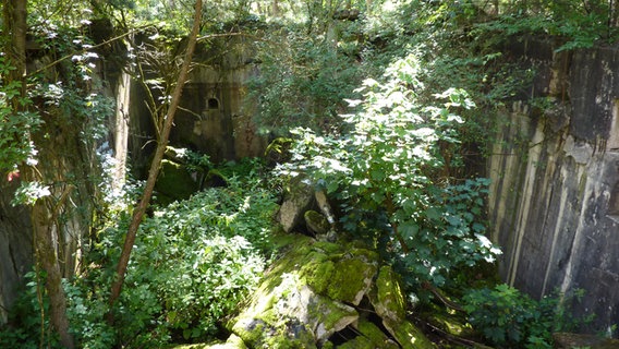 Die Ruine eines Wasserwerks in den Besenhorster Sandbergen © NDR.de Foto: Marc-Oliver Rehrmann