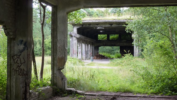 Blick aus der alten Tischlerei auf die Werkstatt-Ruine in Düneberg © NDR.de Foto: Marc-Oliver Rehrmann