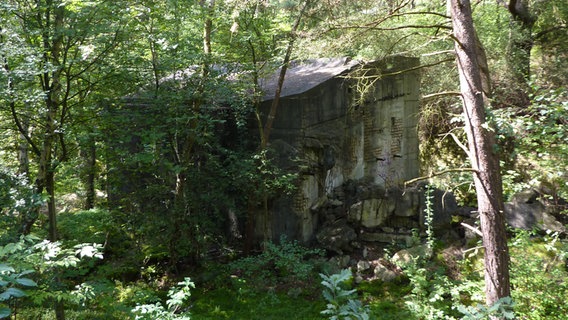 Die Ruine einer Schneckenpresse in den Besenhorster Sandbergen © NDR.de Foto: Marc-Oliver Rehrmann