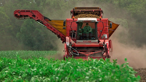 Ein Kartoffelernter von Grimme beim Einsatz. © NDR/ECO Media 