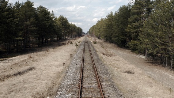 Gleise führen auf das Gelände des ehemaligen KZ Sobibor in Polen © NDR / WDR 