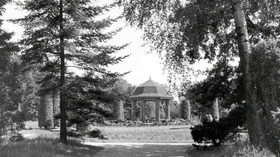 Ein Pavillon zwischen Bäumen im Altonaer Volkspark (historische Aufnahme). © Bildarchiv der Behörde für Stadtentwicklung und Umwelt - Gartendenkmalpflege 