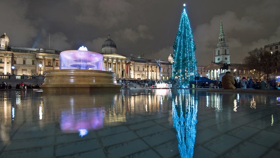 Weihnachtsbaum am Trafalgar Square in London 2014. © picture alliance / AP Photo Foto: Tim Ireland