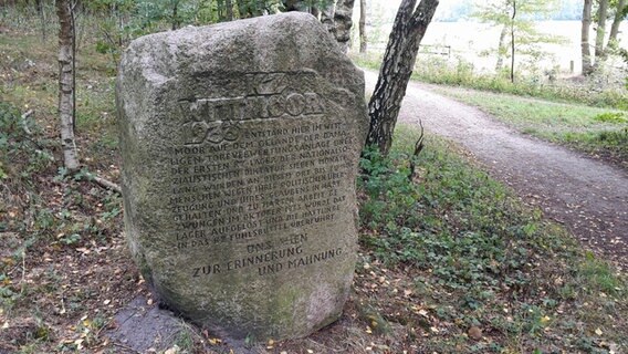 Ein Gedenkstein im Naturschutzgebiet Wittmoor erinnert an das KZ Wittmoor im Jahr 1933. © NDR Foto: Jochen Lambernd
