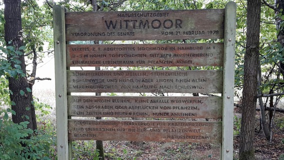Eine Tafel weist auf die Geschichte des Naturschutzgebiets Wittmoor hin.  Foto: Jochen Lambernd