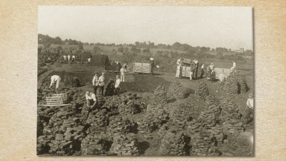 Gefangene des KZ Wittmoor arbeiten beim Torfstechen im Moor. © Stadtarchiv Norderstedt 