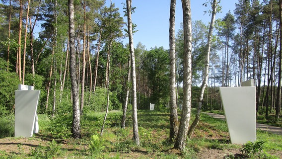 Weiße Stelen stehen im Wald der Gedenkstätte Wöbbelin. © NDR Foto: Axel Seitz