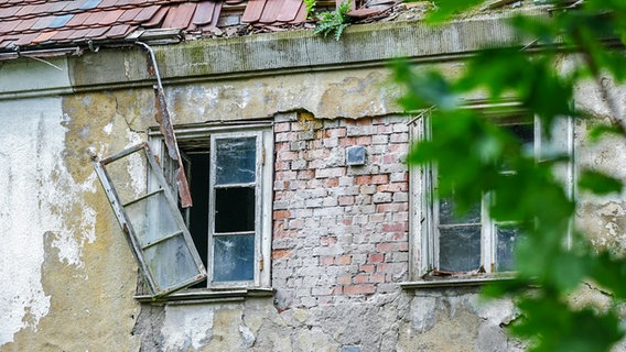 Ein Fenster hängt schief in den Angeln an einem verfallenen Haus auf der Halbinsel Wustrow. © NDR Foto: Daniel Sprenger