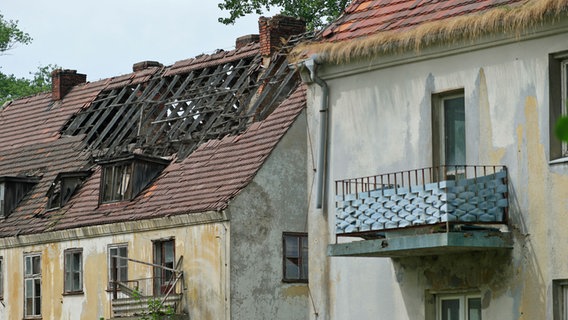 Verfallende Häuser auf der Halbinsel Wustrow, bei einem ist das Dach großflächig eingestürzt. © NDR Foto: Daniel Sprenger
