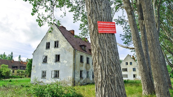 Das Schild "Lebensgefahr" hängt an einem Baum auf der Halbinsel Wustrow, dahinter stehen verfallende Gebäude. © NDR Foto: Daniel Sprenger