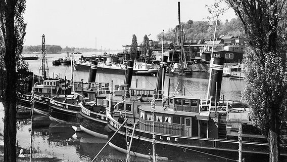 Die "Elbe" mit ihren Schwesterschiffen  