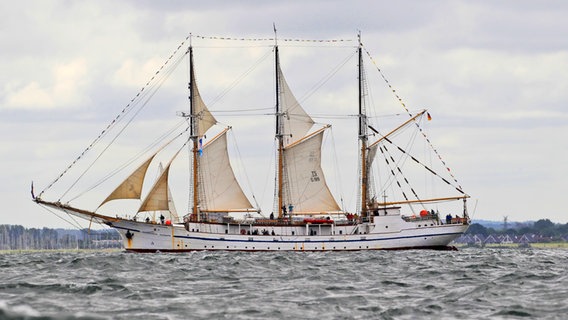 Das Schulschiff "Großherzogin Elisabeth" im Jahr 2019. © Schulschiffverein "Großherzogin Elisabeth" e.V. 