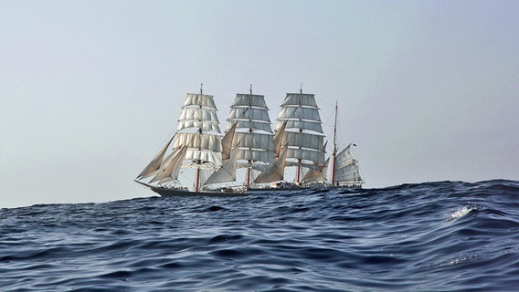 Das Segelschulschiff Sedov © Stema Service Foto: Vallery Vasilivsky