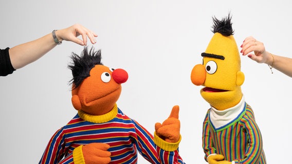 Die Figuren Ernie und Bert aus der Sesamstraße, aufgenommen in einem Fotostudio anlässlich des 50. Jubiläums der Sesamstraße. © picture alliance/dpa Foto: Daniel Reinhardt