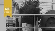 Ein Seemann nimmt Nadelbäume in Ballen für die Weihnachtsfeier an Bord auf, 1950er Jahre. © NDR Archiv Screenshot 