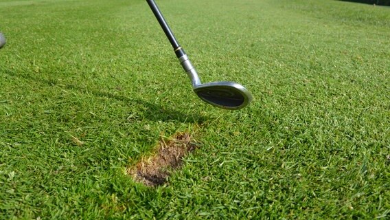Im Rasen auf dem Gelände des Golf & Country Clubs Brunstorf hat ein Golfschläger eine Narbe hinterlassen. © NDR Foto: Anne Passow